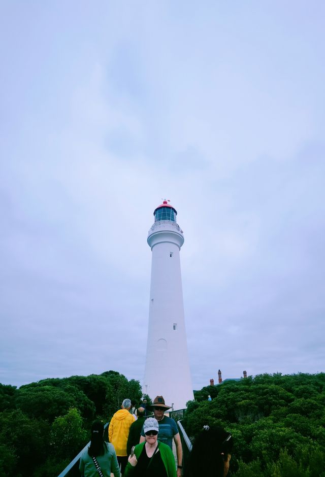 【大洋路上美麗的白皇后】—分裂角燈塔