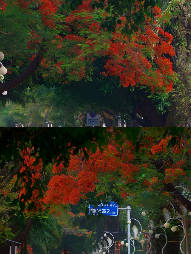 緬甸邊境小城孟連