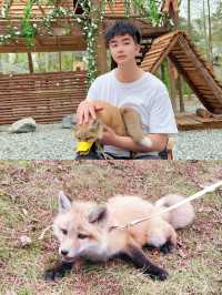 在成都周邊營地烤肉|小狐狸太可愛了！