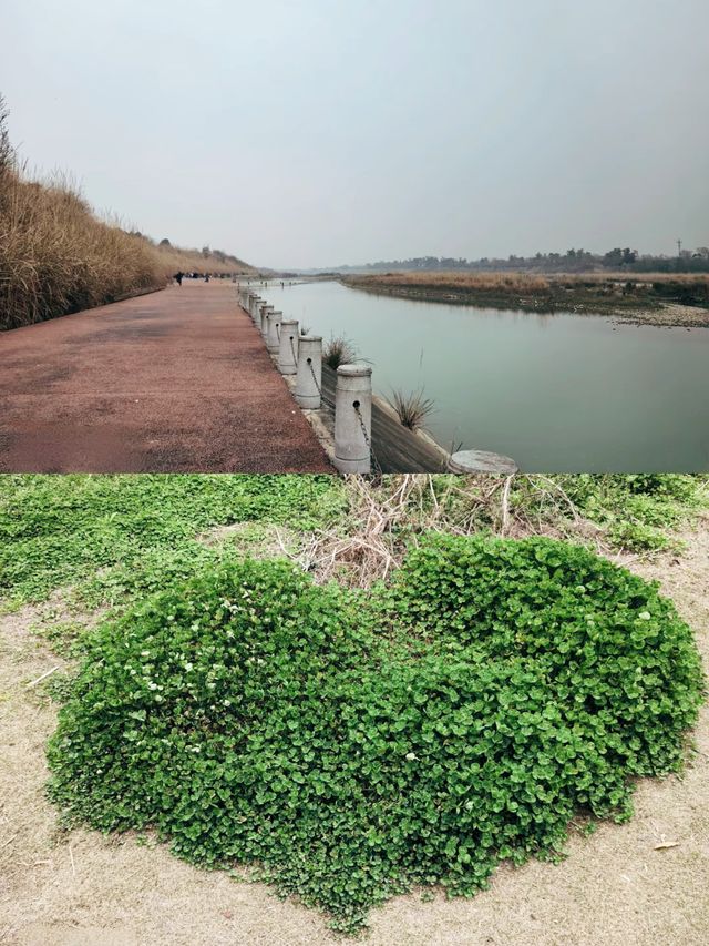 城市短逃離，成都溫江魯家灘濕地公園半日閒