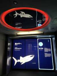 全世界最大的室內水族館大阪必打卡