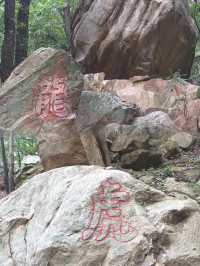 登東山而小魯