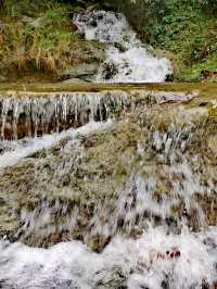 雲遮霧罩西峽峰，蒼翠欲滴水隆隆