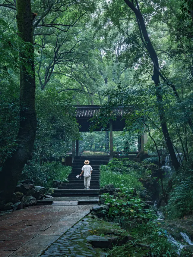 Hupao Park in the rain is more like Hangzhou's version of the Amazon rainforest