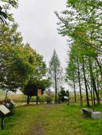 人與自然，和諧共生——大美洋沙湖濕地公園
