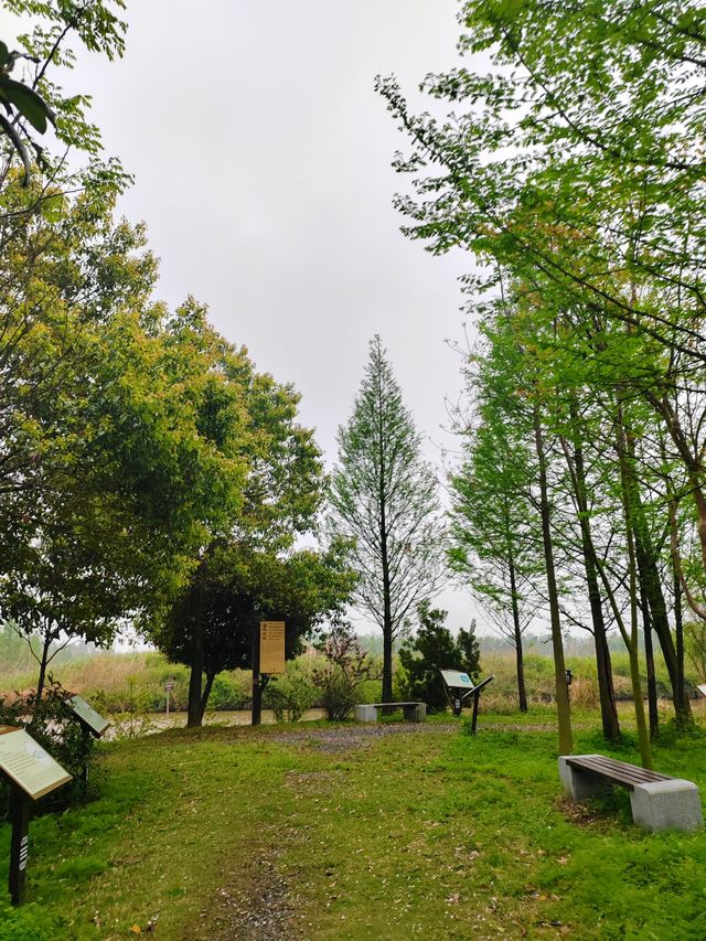 人與自然，和諧共生——大美洋沙湖濕地公園