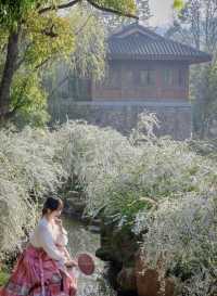 杭州｜春天我最愛的6個浪漫小眾寶藏地