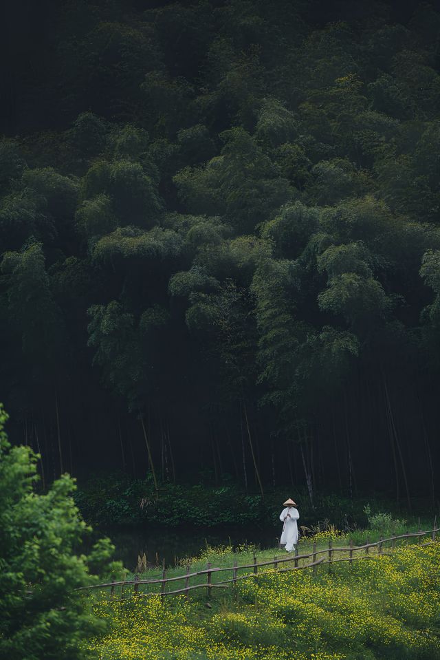 皖南深山隱宿 | 值得珍藏的山居生活樣本