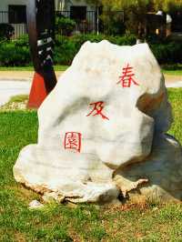 園博園 春及園