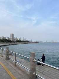 夏日遊玩｜海邊的濕地公園，徒步納涼都不錯