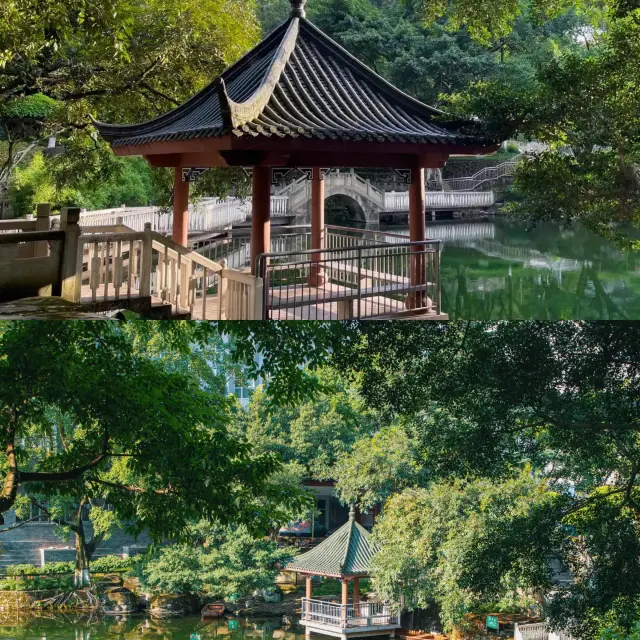 This is not Jiangnan, this is Chongqing's Wanqing Garden!