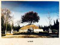六安·皖西博物館