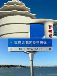 我在北戴河沒空想你