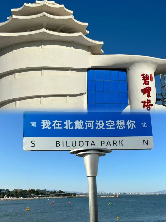 我在北戴河沒空想你