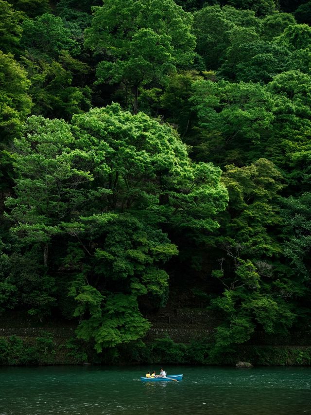日本遊必去行程! 有一種綠叫京都的夏天!