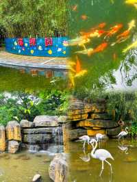 深圳兒童樂園 各種滑梯驚呆我