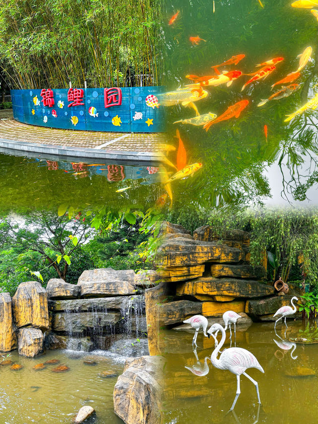 深圳兒童樂園 各種滑梯驚呆我