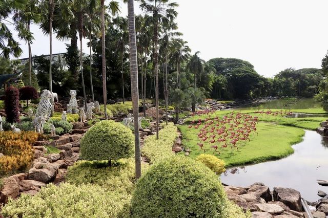 來芭提雅必去的美麗樂園。