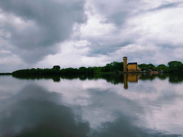 珍寶島森林公園