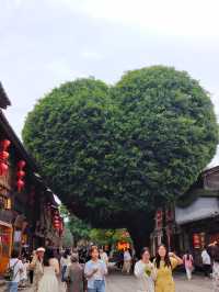 福州全網超全旅遊攻略三天兩夜