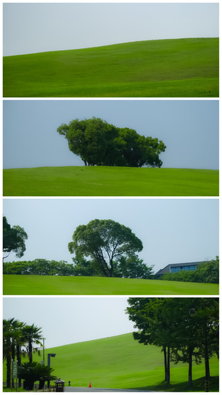 杭州阿勒泰原來在湘湖