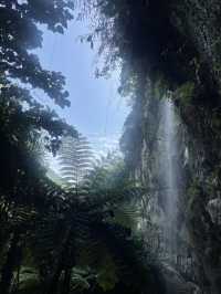 秘境叢林探險～邂逅一場太陽雨