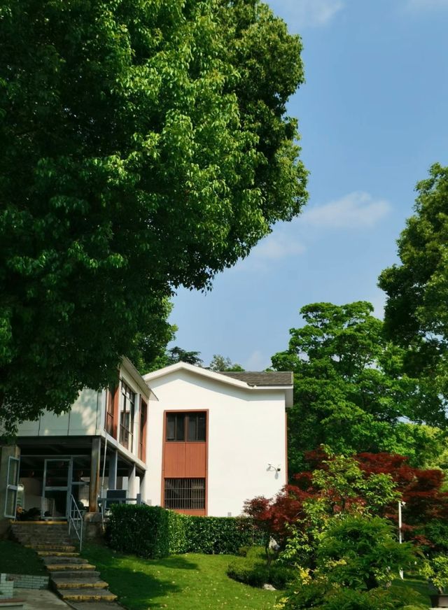 南京citywalk路線推薦