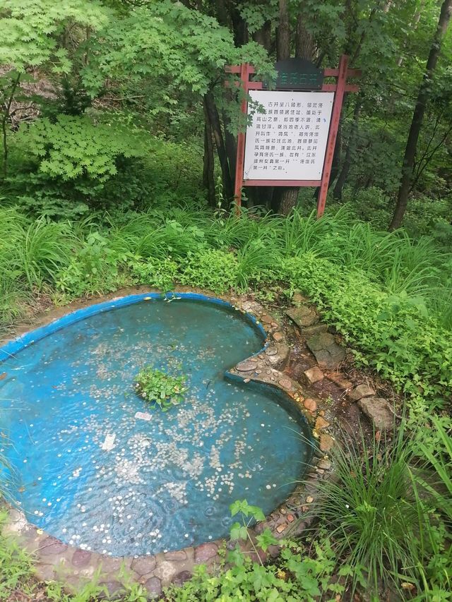 沈陽自駕桓仁~虎谷峽
