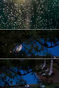安吉｜總要去看看墨雨雲間的山野