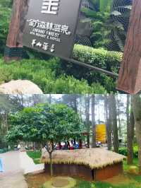 泡湯好去處～金方森林溫泉