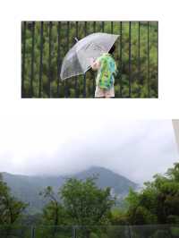一處藏在山巔、住在雲層裡的秘密民宿