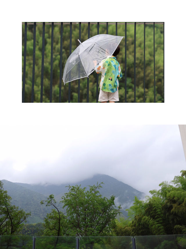 一處藏在山巔、住在雲層裡的秘密民宿
