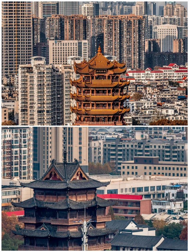 為了這組照片…我特意飛了一趟武漢