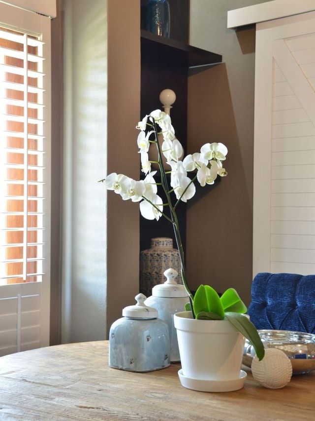 🌟 Unwind in Style: Gauteng's De Hoek Country Hotel 🌟