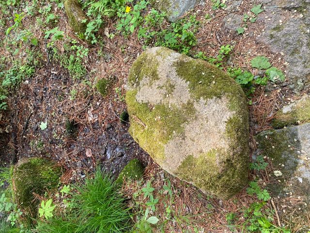 奇景如畫，猴石探秘—撫順猴石國家森林公園旅遊攻略