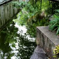 尋訪-韶城《叁拾玖》雨中漫步“西橋公園”
