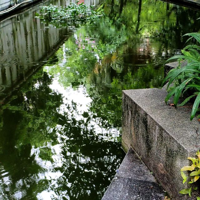 尋訪-韶城《叁拾玖》雨中漫步“西橋公園”
