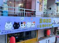 廈門｜頂澳仔貓街