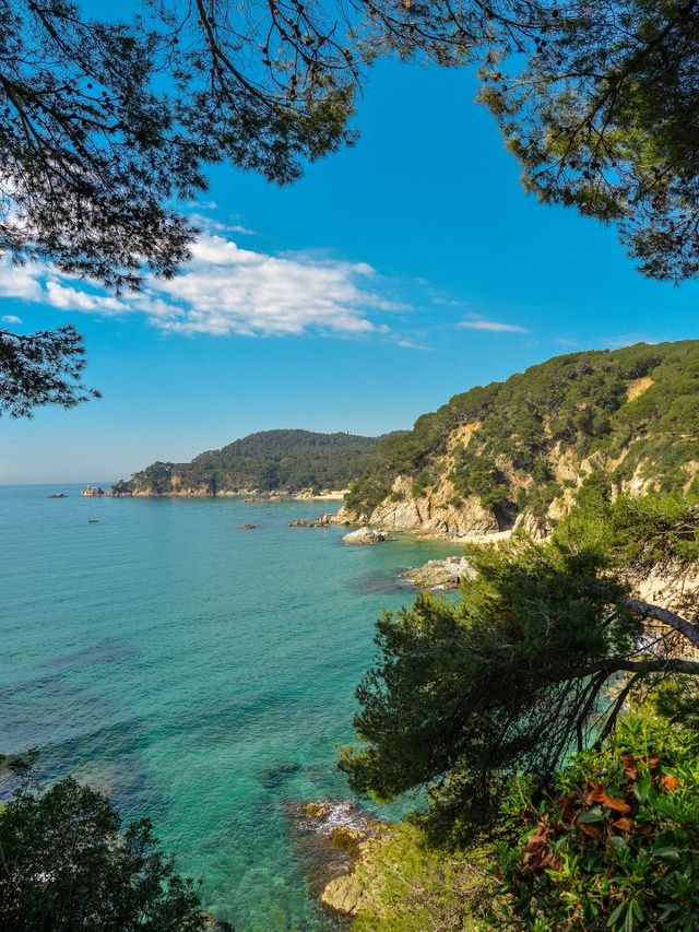 🌴🎉 Phuket's Top Attractions for Unforgettable Fun 🏖️✨
