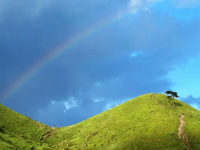 Every Week a Mountain｜Wugong Mountain is known as the 'Grassland in the Clouds'