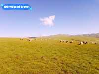 Wind of Freedom: Camping in Qinghai