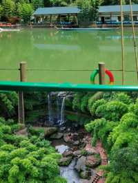 瀑布,溪流,竹海,避暑絕佳之地!