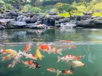 饒平大肚林山莊，溫泉無邊泳池海鮮自助餐