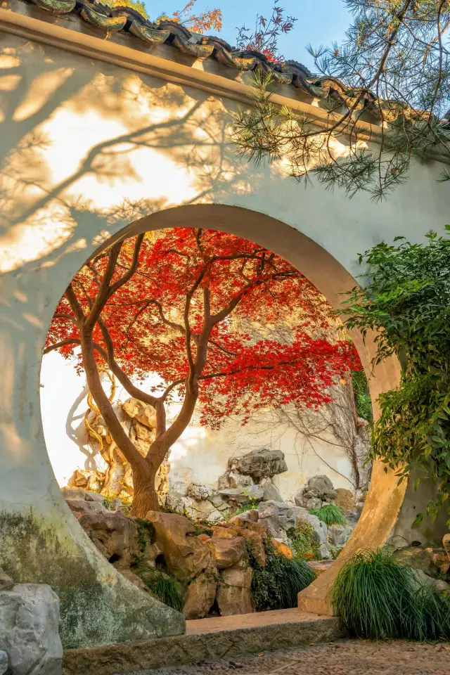 接下來的幾個月，蘇州堪稱秋天旅行天花板