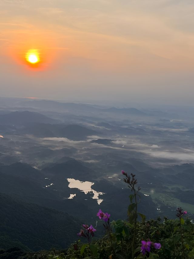 防城港望洲頂•日出雲海等你來邂逅。