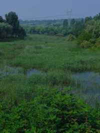鄭州這個新開放的濕地公園簡直贏麻了。