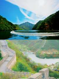 【黃花城水長城，邀您金秋時節來免費摘栗子】。