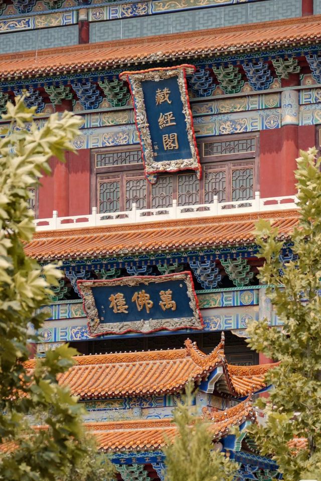 大悲禪寺。