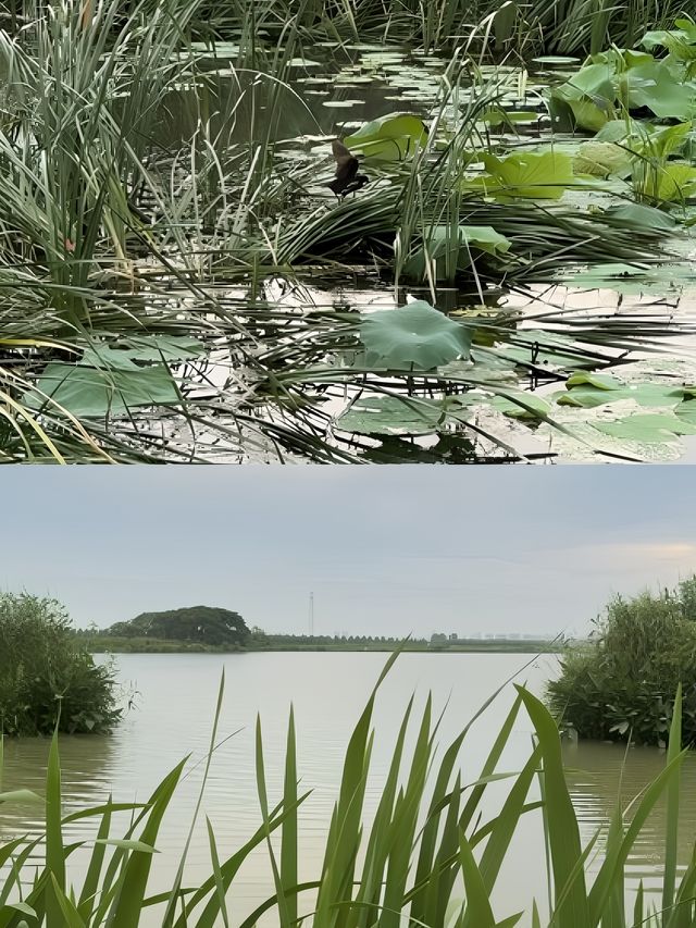 開窗見湖景!蘇州設計感爆表的湖畔船塢民宿