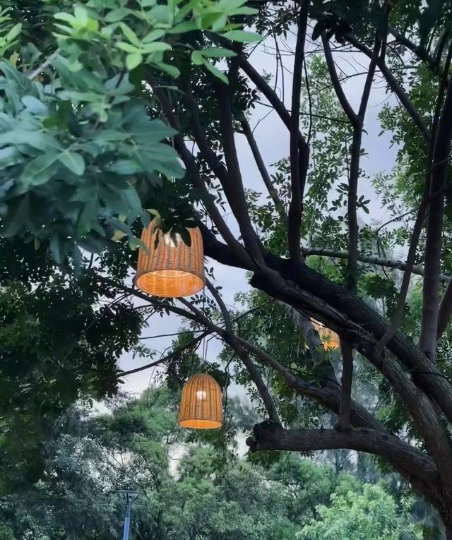 隱藏在五緣灣的天鵝湖。